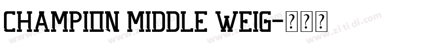 Champion Middle Weig字体转换